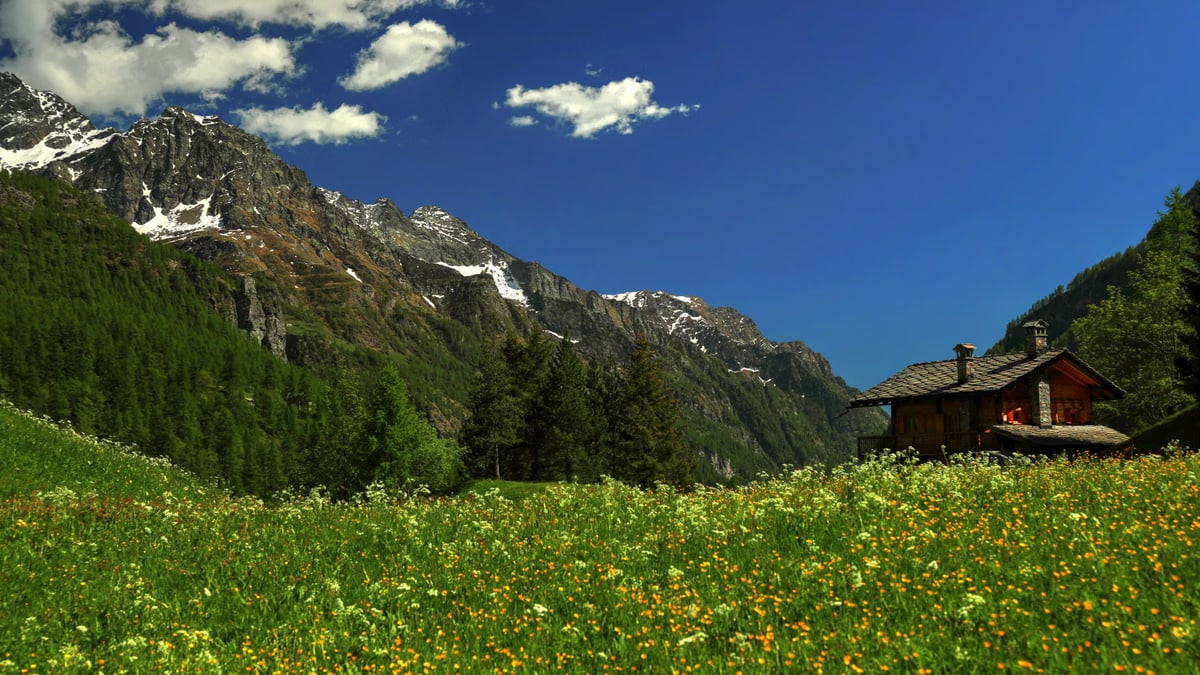 Vivere in armonia con la natura